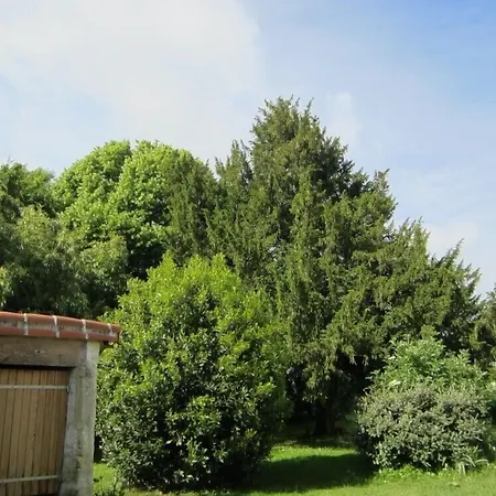 Bed & Breakfast Les Cagouilles