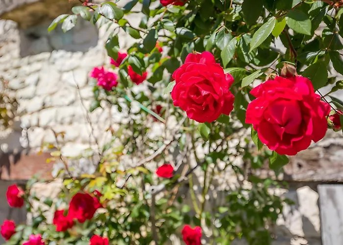 فندق مبيت وإفطار Les Cagouilles Virson