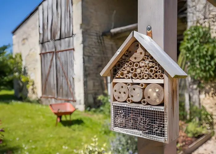 Les Cagouilles فندق مبيت وإفطار Virson